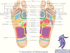 Association of Reflexologists planter footmap