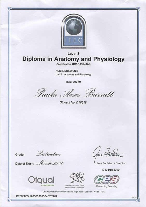 Diploma in Anatomy and Physiology