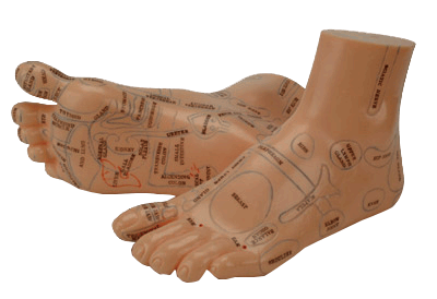 Rflexology mapped feet