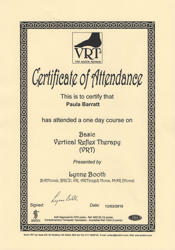 Basic Vertical Reflex Therapy Certificate